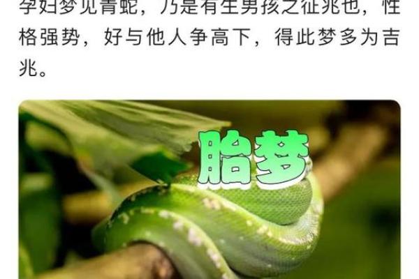 妻子怀孕期间丈夫梦到蛇