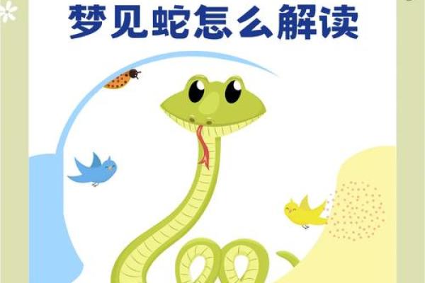 梦到路上很多蛇不好走