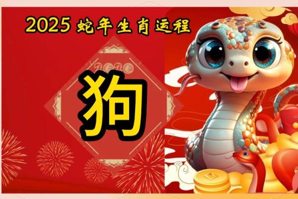 70年属狗的2025年运势和财运怎么样(70年属狗的2025年运势和财运怎么样8月出生的人)