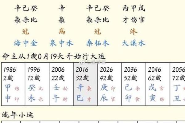 食神在八字中代表什么(食神在八字中代表什么男命)