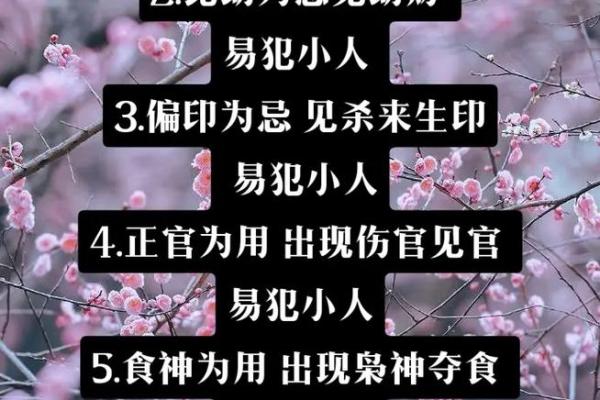 偏印在八字中代表什么意思(食神在八字中代表什么意思)