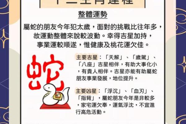 生肖龙2025年全年运势(生肖龙2025年全年运势如何)