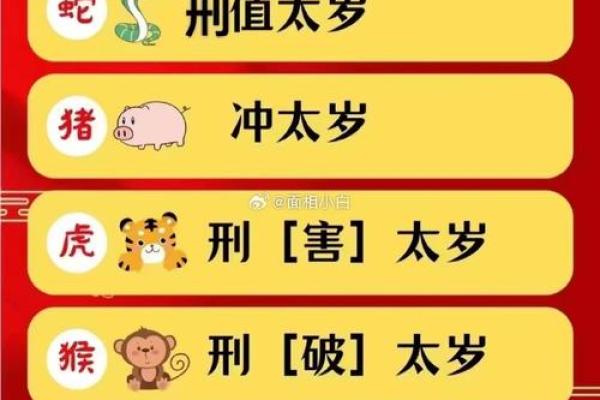 生肖蛇2025年运势及运程(生肖蛇2025年运势及运程,生肖蛇2025年运势及运程如何)