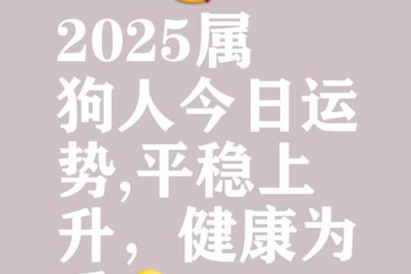 属狗的人2025年运势及运程(属狗的人2025年运势及运程2006)