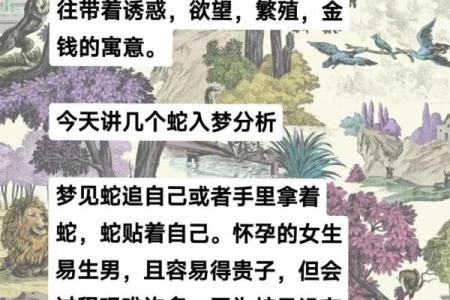 梦见蛇咬狗