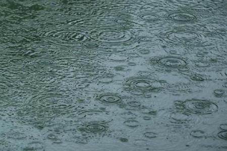 梦到下雨天