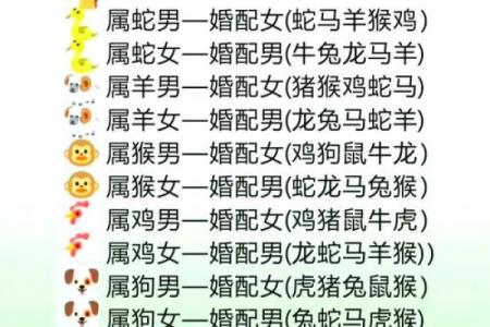 97年的牛女婚配什么属相好