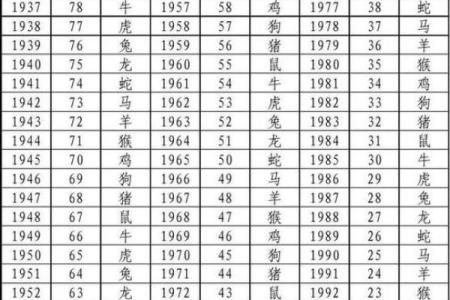 2006年是什么生肖