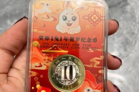 兔年生肖纪念币