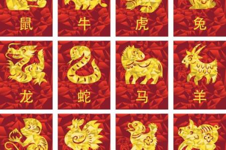 1972年属什么生肖