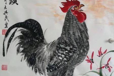 鸡与什么属相相冲