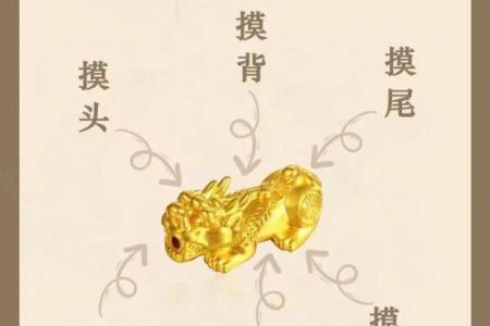 貔貅最忌讳什么生肖