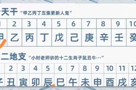看八字基本步骤详解(四柱八字入门详细步骤)