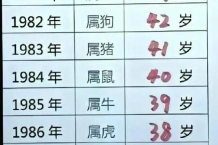 03年属什么生肖几岁