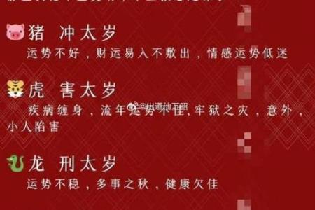 1971年属猪2025年运势及运程(1971年属猪2025年运势及运程男性)