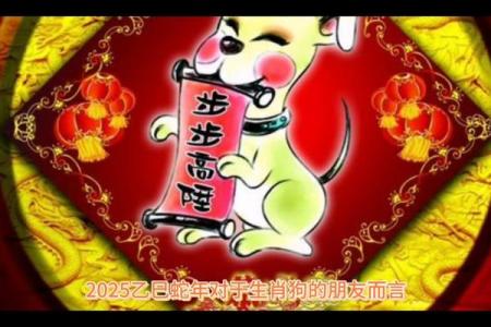 1982年属狗男2025年全年的运势(1982年属狗男2025年全年的运势今天失事飞机什么形号)