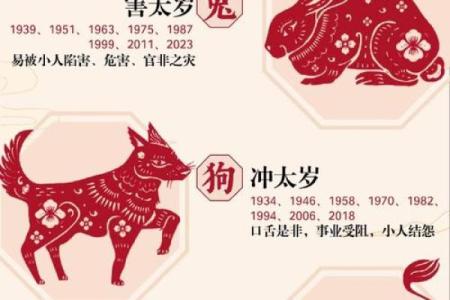 亥年是什么生肖