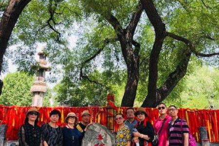 梦见亲人从树上掉下来是什么预兆