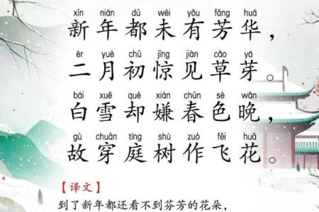 梦见春天下雪