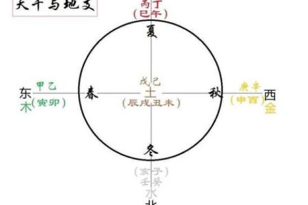 八字藏干代表什么意思(为什么不能研究自己的八字)