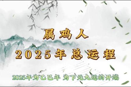 生肖鸡2025年运势大全(2025年属鸡的运程)