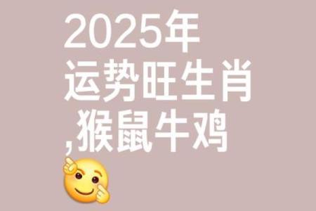 1980属猴2025苦尽甘来(1980属猴2025苦尽甘来是真的吗)