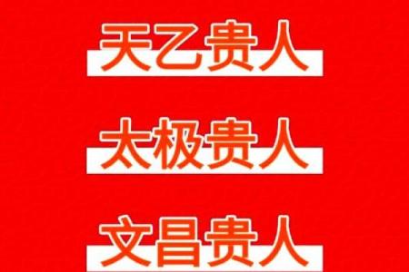 文昌贵人在八字中代表什么意思(天厨贵人在八字中代表什么意思)