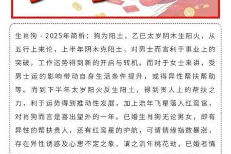 属狗人2025彻底大爆发(属狗人2025彻底大爆发)