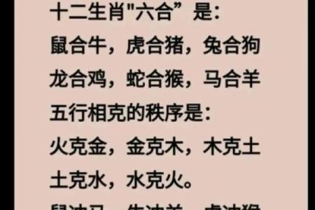 属鼠和什么属相相冲