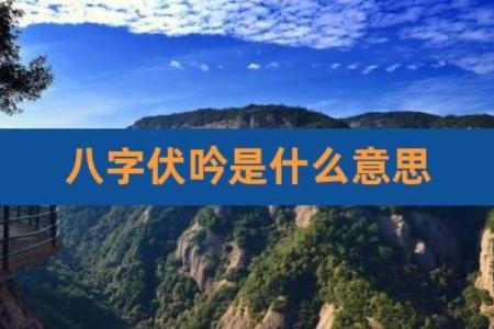 伏吟在八字中代表什么意思(伏吟八字中代表什么意思啊)