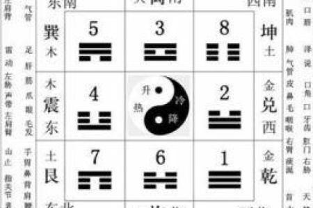 天德合在八字中代表什么意思(天德合在八字中代表什么意思女命)