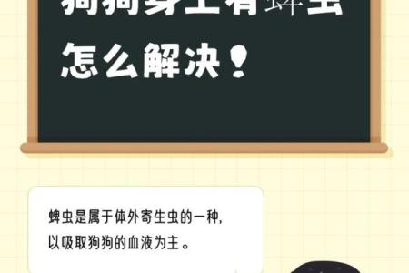 梦见狗身上有很多蜱虫