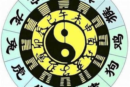 将军箭在八字中代表什么意思(将军箭在八字中代表什么意思呀)