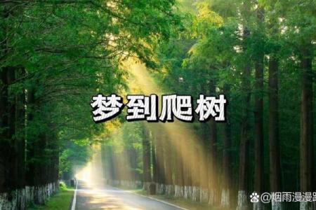 梦见自己种树是什么预兆
