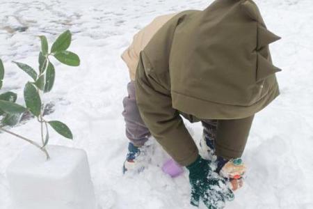 做梦下雪是好是坏