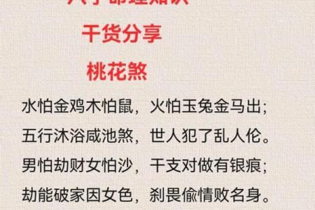 桃花煞在八字中代表什么意思(桃花煞在八字中代表什么意思)