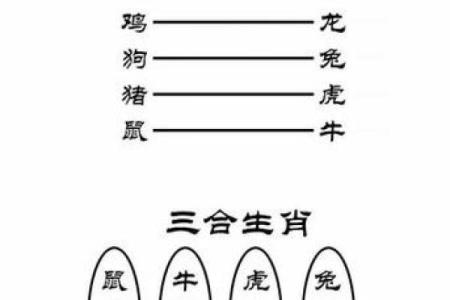 子午相冲三合出是指什么生肖