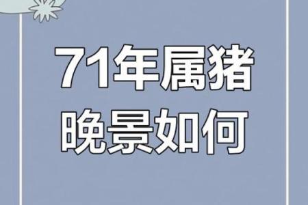 71年属猪的人2025年的运势及运程(71年属猪人2023年运势及运程)