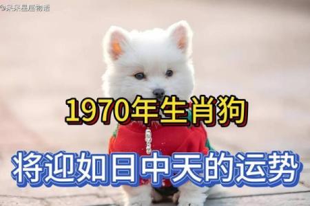70年属狗人2025运势运程(1970年属狗2025年运势及运程)