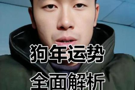 属狗人2025年全年运势详解(属狗人2025年全年运势详解)