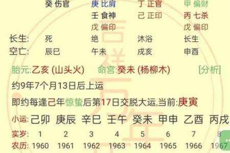 空亡在八字中代表什么意思(金舆在八字中代表什么意思)