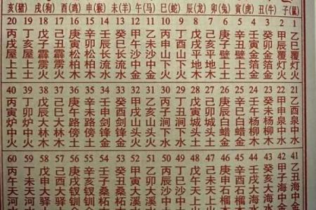 属猪2025年的运势及运程(属猪2025年的运势及运程农历)