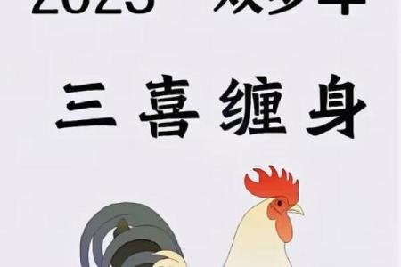 属鸡人2025年运势(属鸡人2025年运势运程每月运程)