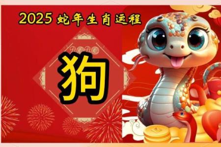 70年属狗的2025年运势和财运怎么样(70年属狗的2025年运势和财运怎么样8月出生的人)
