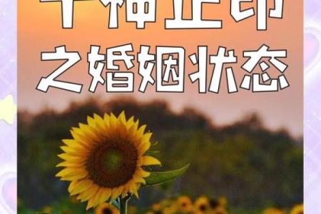 正印在八字中代表什么(正印在八字中代表什么意思女命婚姻)