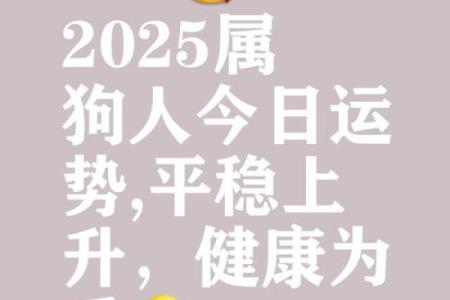 属狗的人2025年运势及运程(属狗的人2025年运势及运程2006)