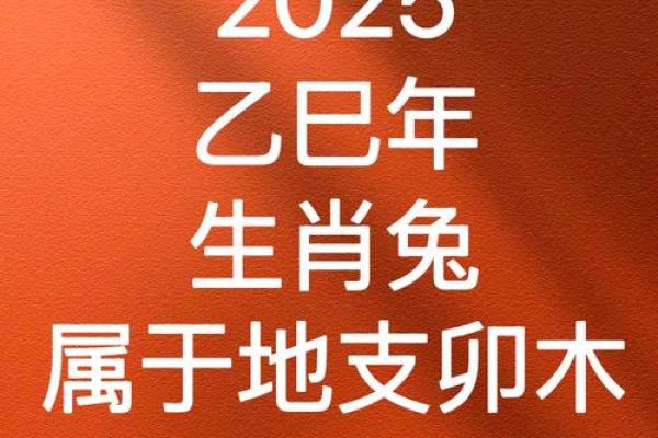 1987年属兔2025年的运势及运程(1987年属兔2025年的运势及运程逐月分析周易免费网)