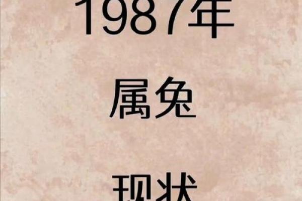 1987年属兔2025年的运势及运程(1987年属兔2025年的运势及运程逐月分析周易免费网)
