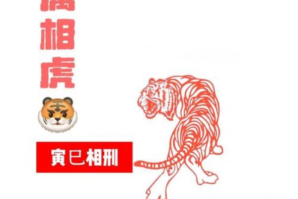 1974年属虎男2025年运势完整版(1974年2025年属虎人的全年运势)