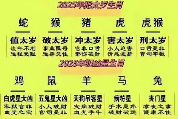 属虎人2025年每月运势及运程详解(2025年属虎人的命运)